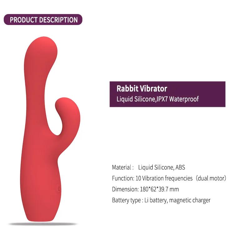 GINYA New Design Gradient Color Liquid Silicone Female Rabbit Vibrator — CH01313 gallery image 2